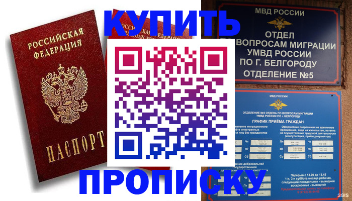 прописка иностранных граждан в Опочке